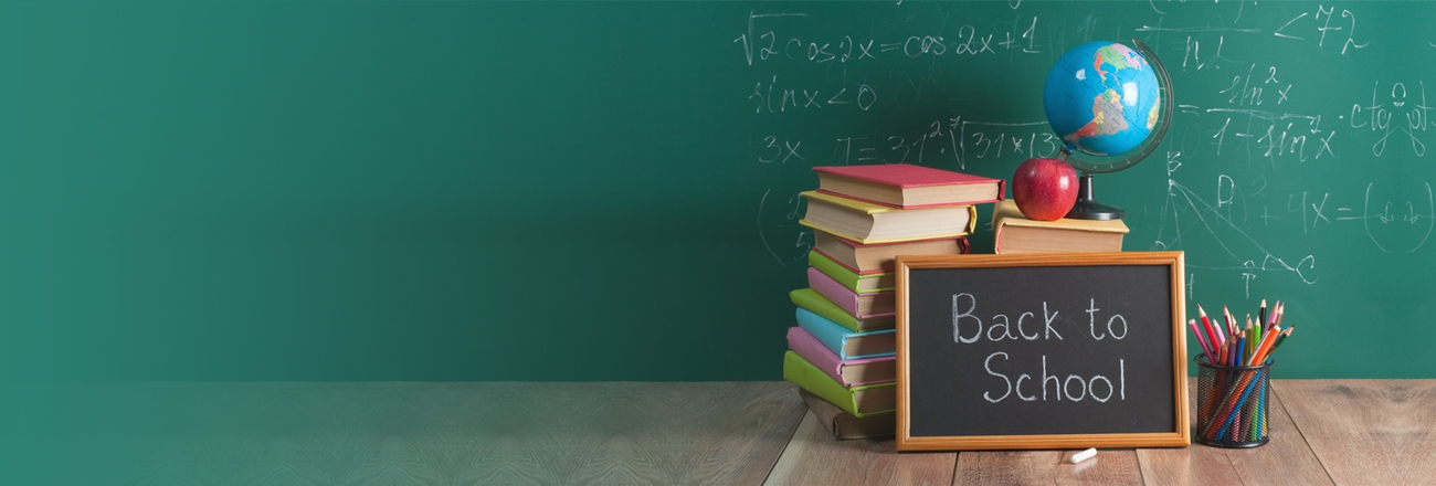 professional educational consultancy kerala